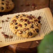 Chocolate Chip Pecan Cookie Recipe-image